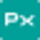 Palex Medical logo