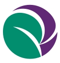 Palladin Technologies logo