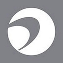 Assurances Palladium Insurance logo