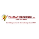 Palman Electric logo