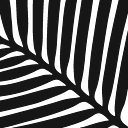Palm Beach Trim logo