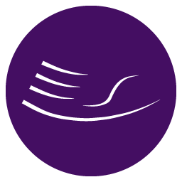 Palmercare Chiropractic logo