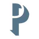 Palmer Consulting Group, Llc logo