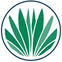 Palmetto Solutions logo