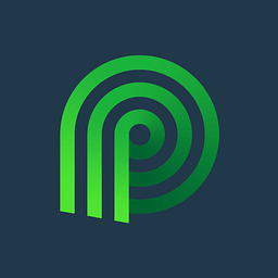 Palmetto Solar logo