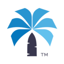 Palmetto Payment Solutions logo