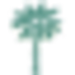 PP