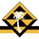 Palmetto Surfacing logo