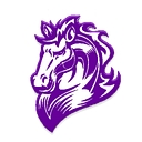 Palm Springs Middle School logo