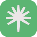 Palmstreet logo