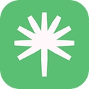PalmStreet logo