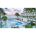 Palm Tree Club Miami logo