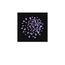 Palo Alto Consulting, Llc logo