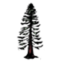 Palo Alto Plumbing Heating And Air logo