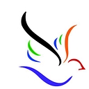 Paloma Medical Group logo