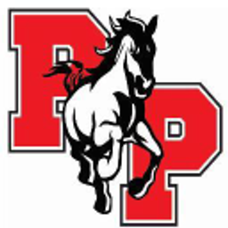 PALO PINTO EL logo