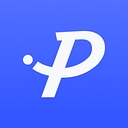 PalWallet logo — embedded finance company