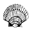 Pam Harrington Exclusives logo