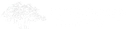 Pan African Capital Group, Llc logo