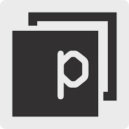 Panaseer Limited logo