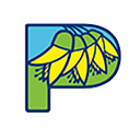 Paparangi School logo