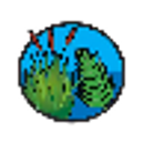 Paparore School logo