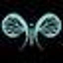 PAPILLON9