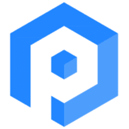 Paradigm Infotech, Inc. logo