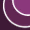 Paragon Leadership logo