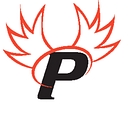 Paragon Cyber Solutions