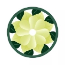 Paragon Garden Design Limited logo