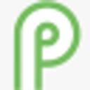 paragraphbuzz.com logo