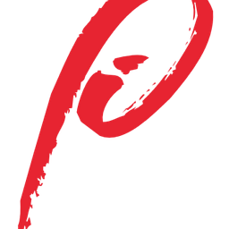 Paramount Software Solutions INC logo