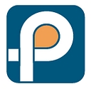 Parikh Consultants, Inc. logo