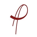 Park Avenue Home Care logo
