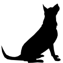 Park Avenue Animal Hospital