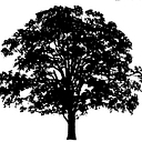 Parkchester Preservation Management logo
