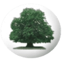 Parkfields Middle School logo