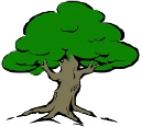 Parkland Usa logo