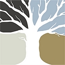 Park Place Financial Inc. logo