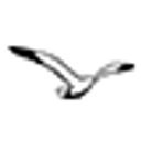 Park Point Marina Inn logo