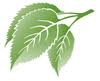 Parkview Manor Nursing Home logo