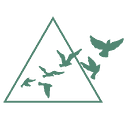 Partners In Abortion Care logo