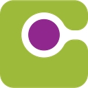 Choices In Community Living Inc logo