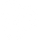 Pascal Metrics logo