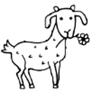 pashminacachemire.com logo