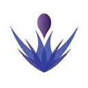 Pula Aviation Services Limited logo