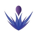 Pula Aviation Services Limited logo