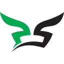 Passion Sports logo