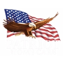Patriot Home Care logo